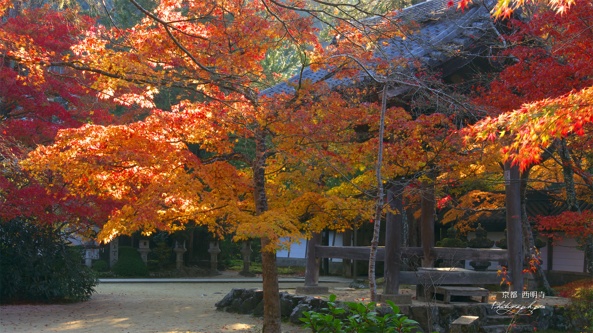 西明寺の紅葉と鐘楼