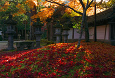 西明寺
