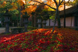 西明寺
