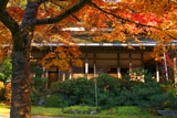 西明寺の紅葉と客殿