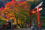 貴船神社 紅葉の梶取社