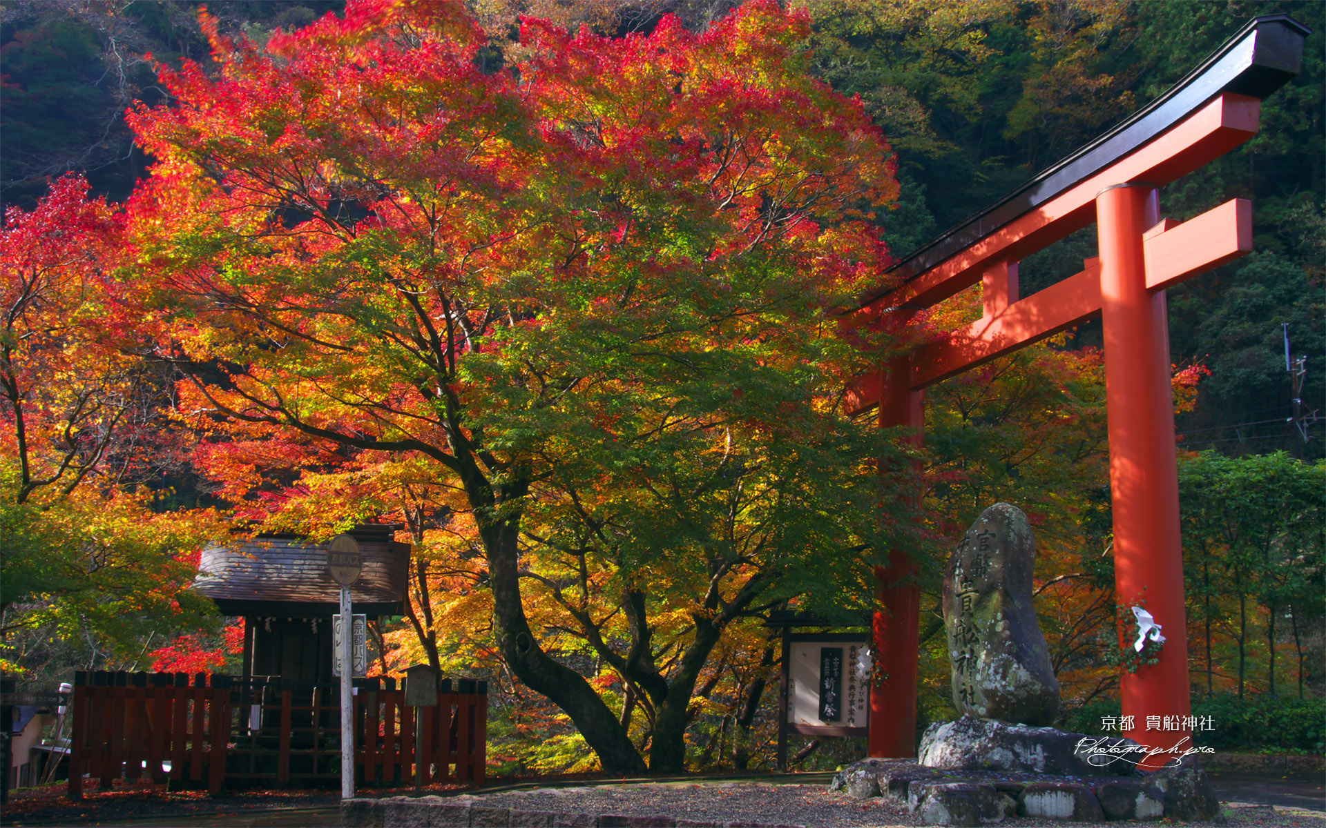 貴船神社 紅葉の梶取社