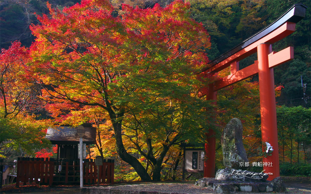 貴船神社 紅葉の梶取社 壁紙
