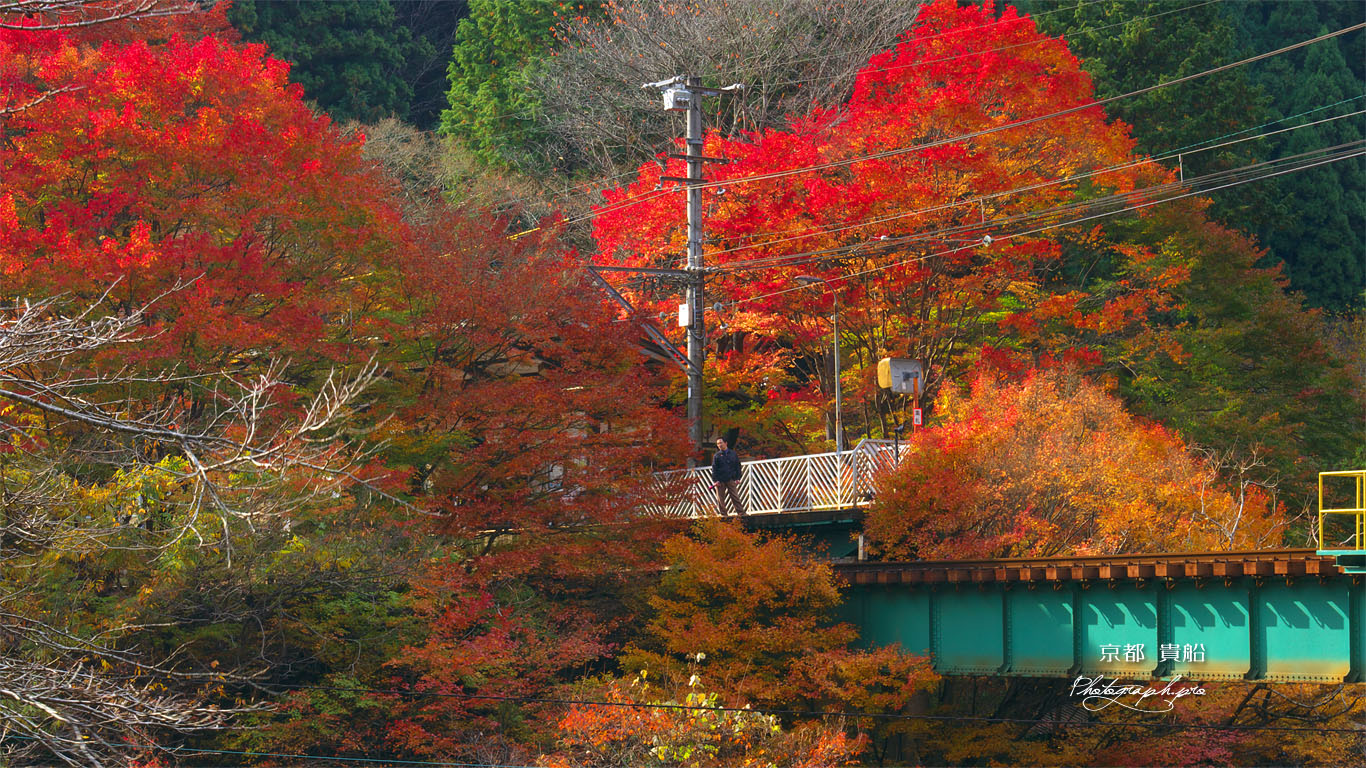 貴船口駅の紅葉 壁紙
