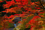 嵯峨鳥居本上地区の紅葉