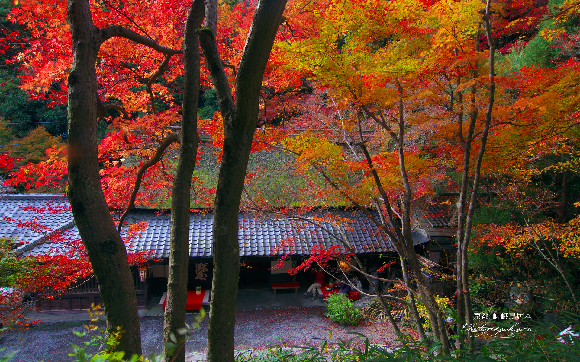 紅葉越しの平野屋