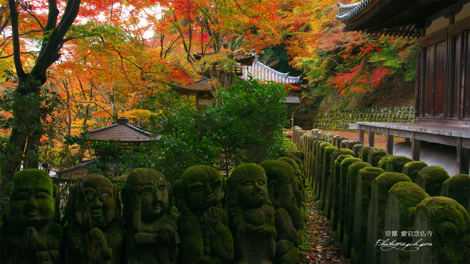 愛宕念仏寺の阿羅漢と紅葉