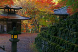 紅葉の愛宕念仏寺