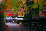 一之鳥居と平野屋