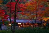 宵の平野屋
