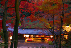 嵯峨野・嵐山・松尾