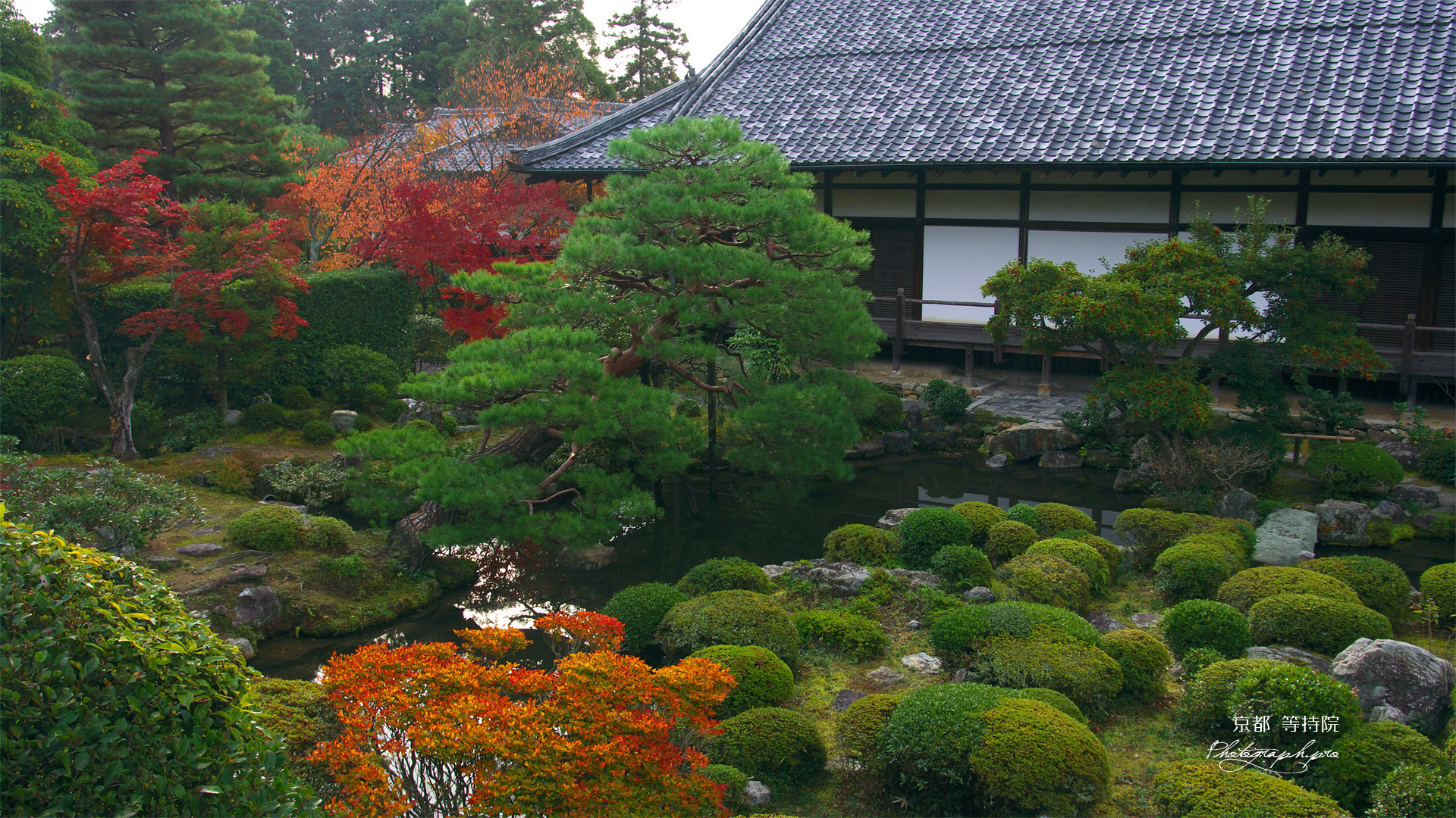 京都等持院 西苑の紅葉