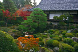 京都等持院 西苑の紅葉