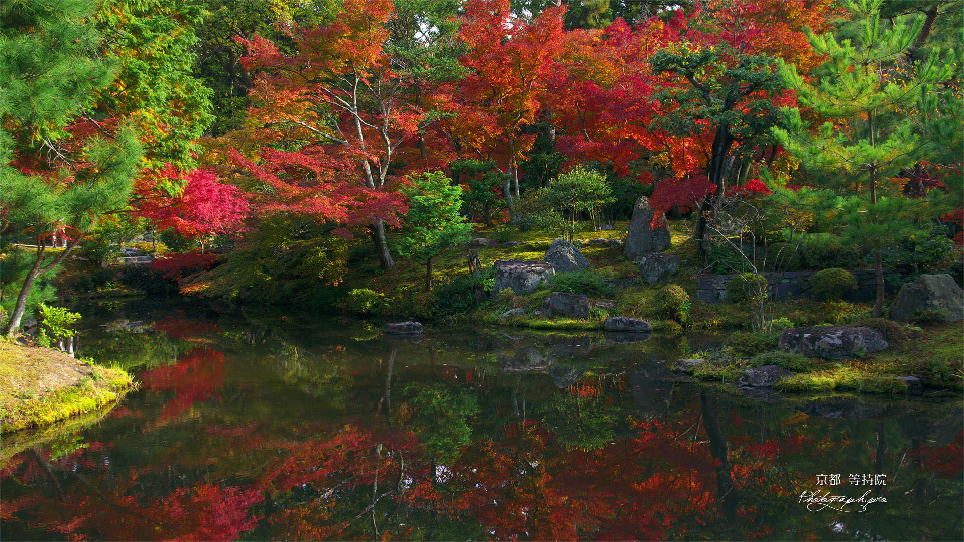 京都等持院 東苑心字池の水映紅葉