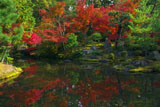 京都等持院 東苑心字池の水映紅葉