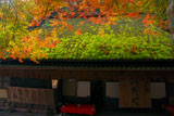 嵯峨鳥居本つたや