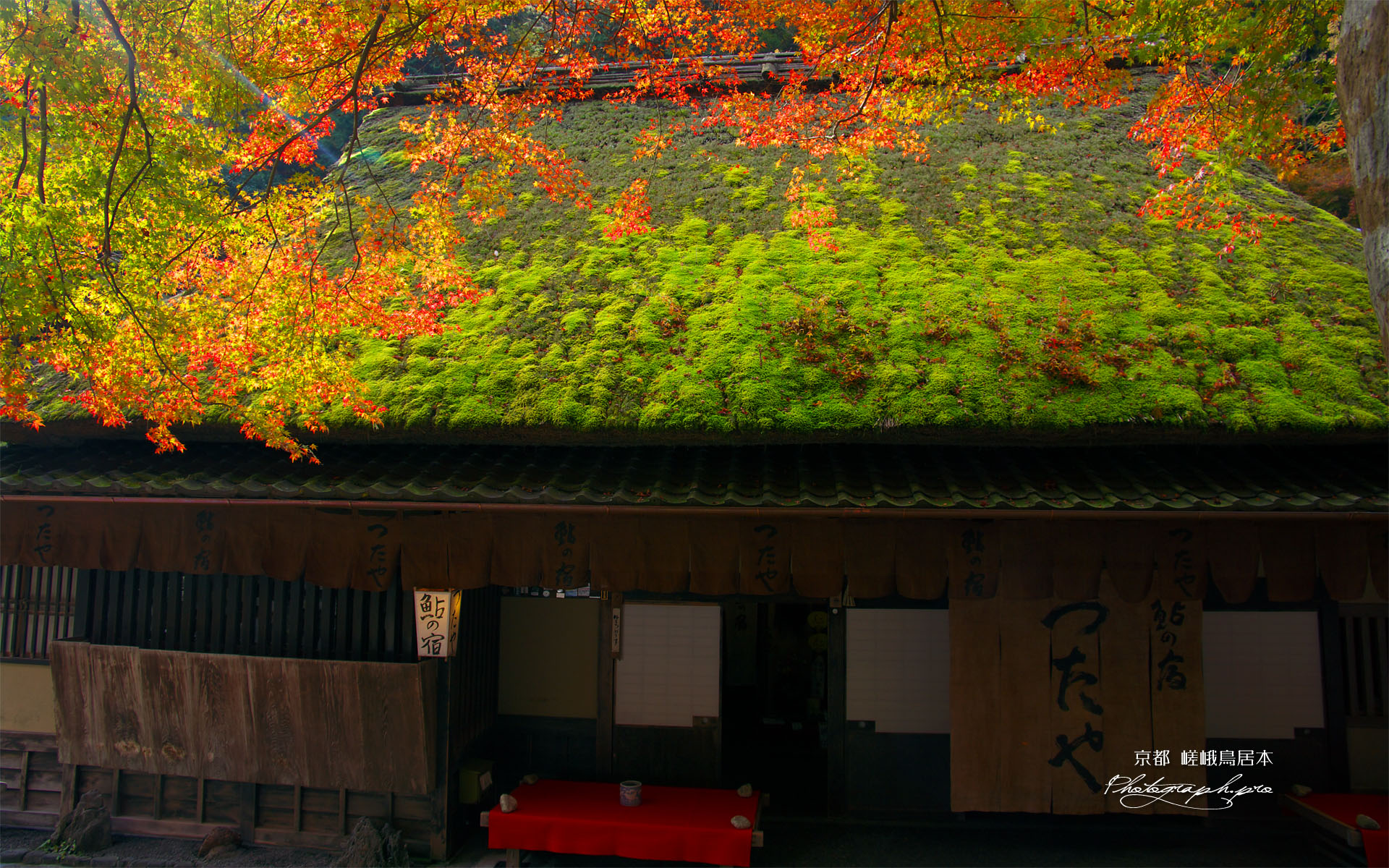 嵯峨鳥居本つたや