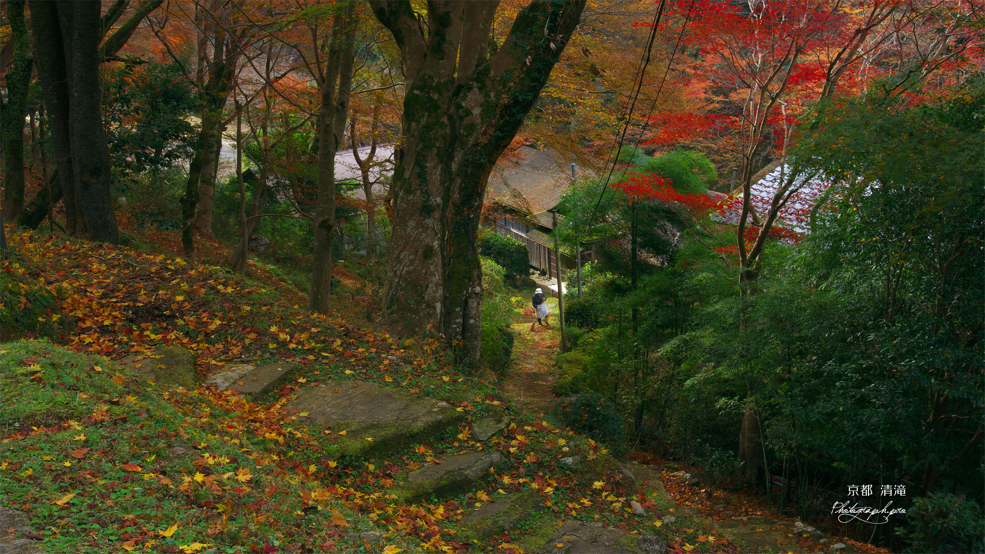 京都清滝 くれない茶屋の紅葉