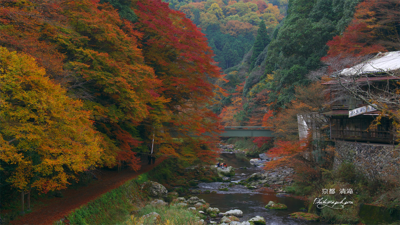 旧かぎや旅館と紅葉の清滝川 壁紙