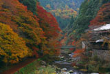 旧かぎや旅館と紅葉の清滝川