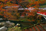 旧ますや旅館と紅葉の清滝川