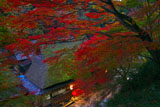 嵯峨鳥居本つたや
