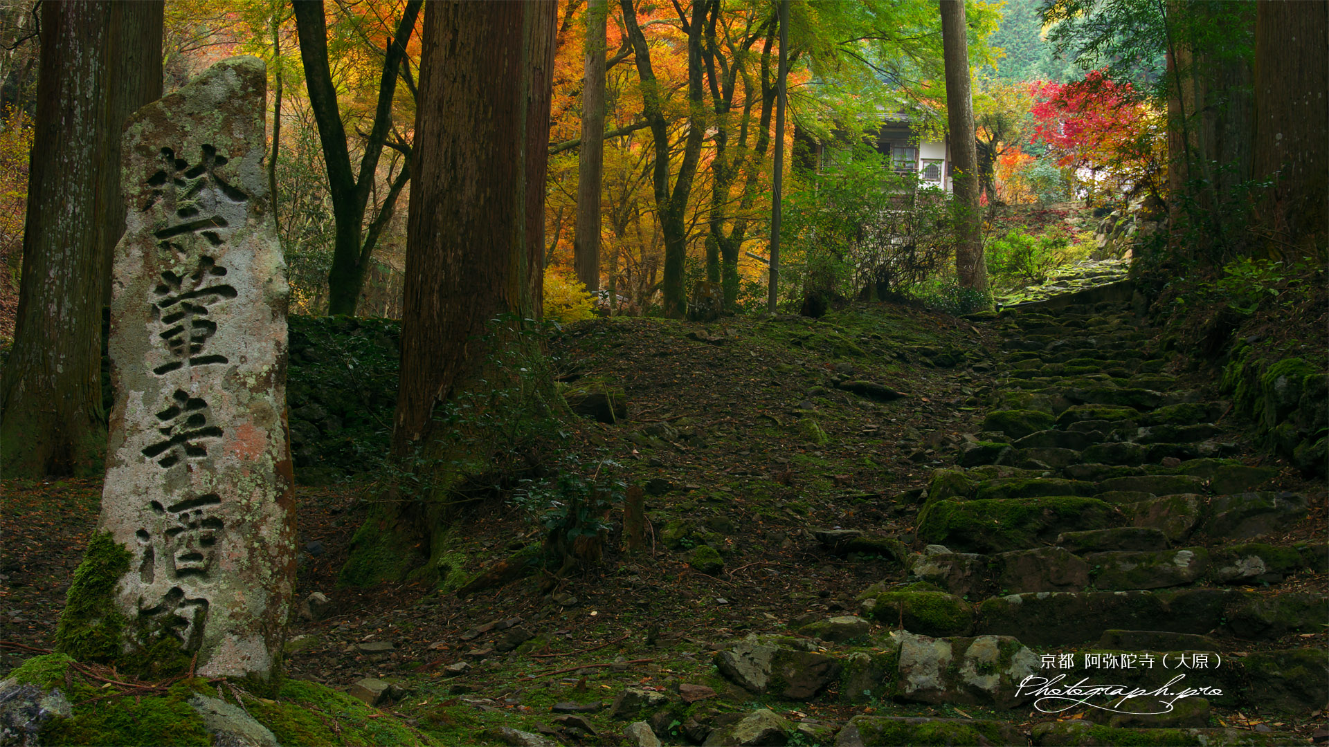 古知谷阿弥陀寺 禁葷辛酒肉