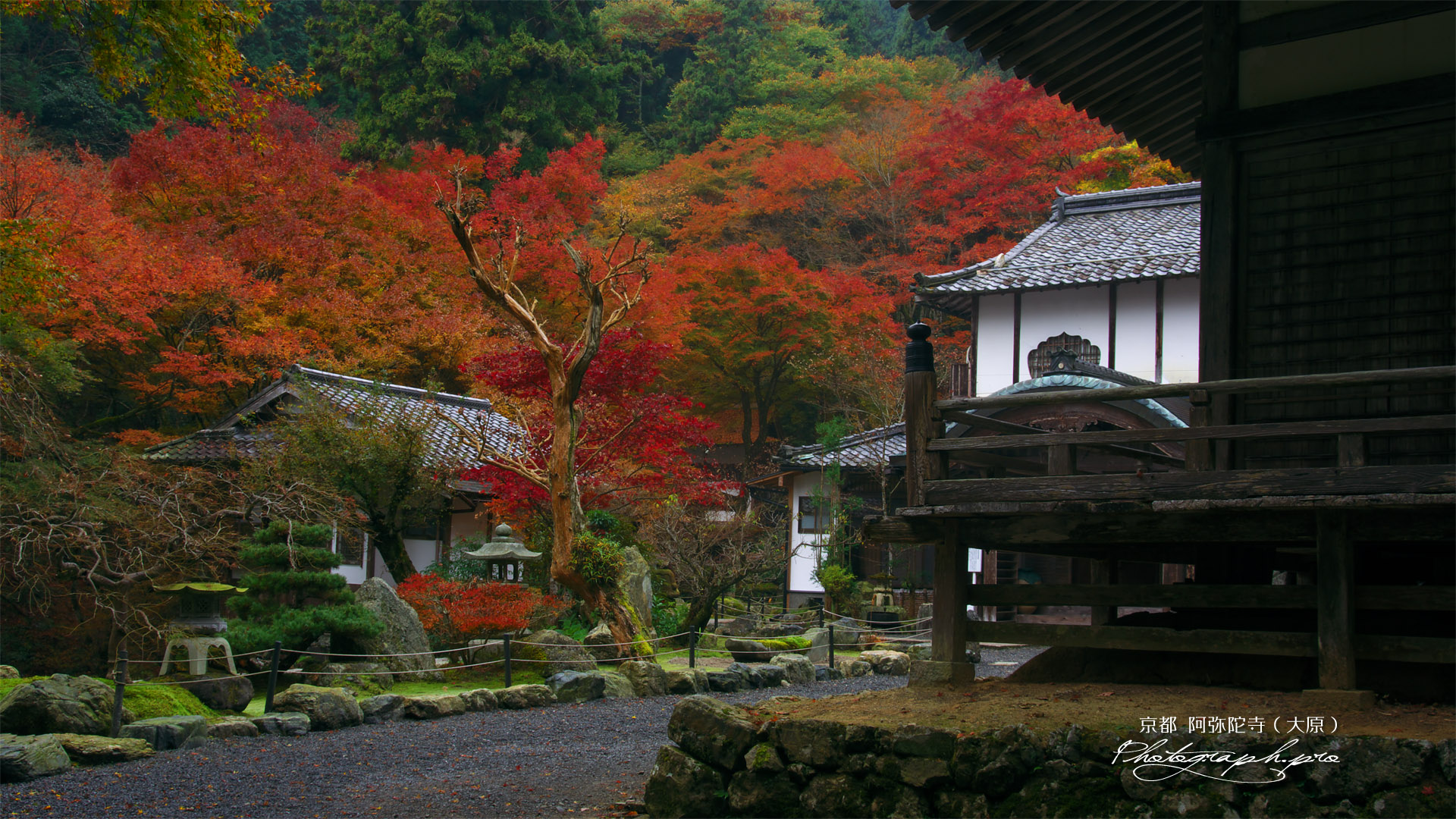 古知谷阿弥陀寺 本坊の紅葉