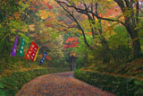 紅葉の赤山禅院参道