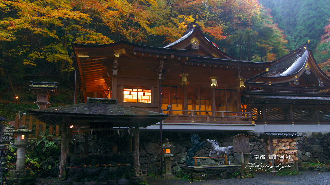 貴船神社 本宮の神馬と紅葉 壁紙