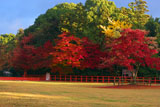 朝陽射す紅葉の上賀茂神社