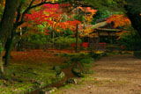 上賀茂神社 賀茂山口神社の紅葉