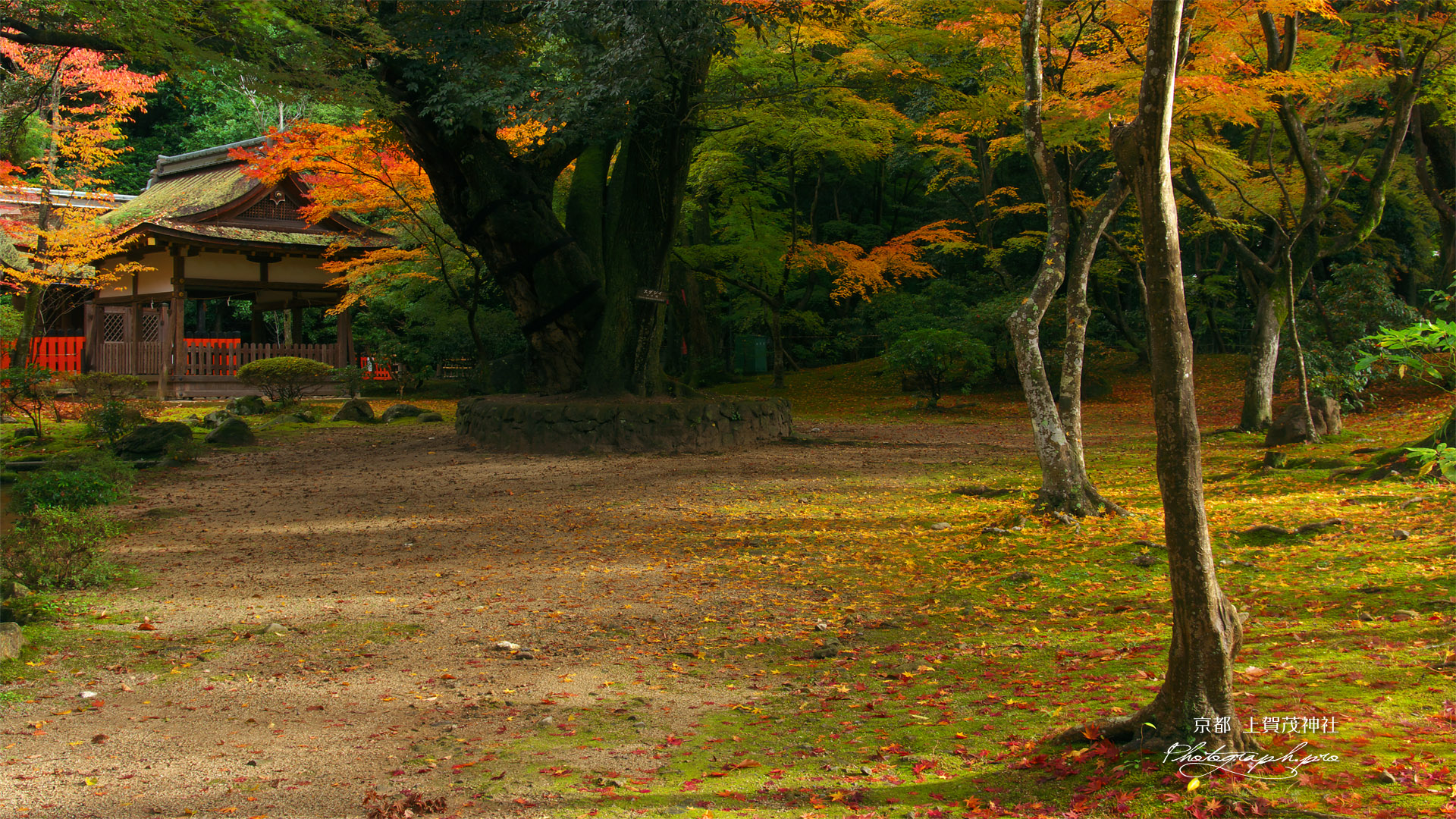 上賀茂神社 渉渓園の紅葉