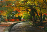 上賀茂神社 ならの小川の紅葉