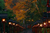 貴船神社 紅葉と南参道燈籠灯り