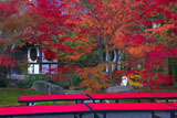 永観堂 紅葉の画仙堂