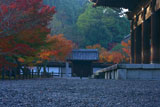 南禅寺天授庵 紅葉の三門と正門