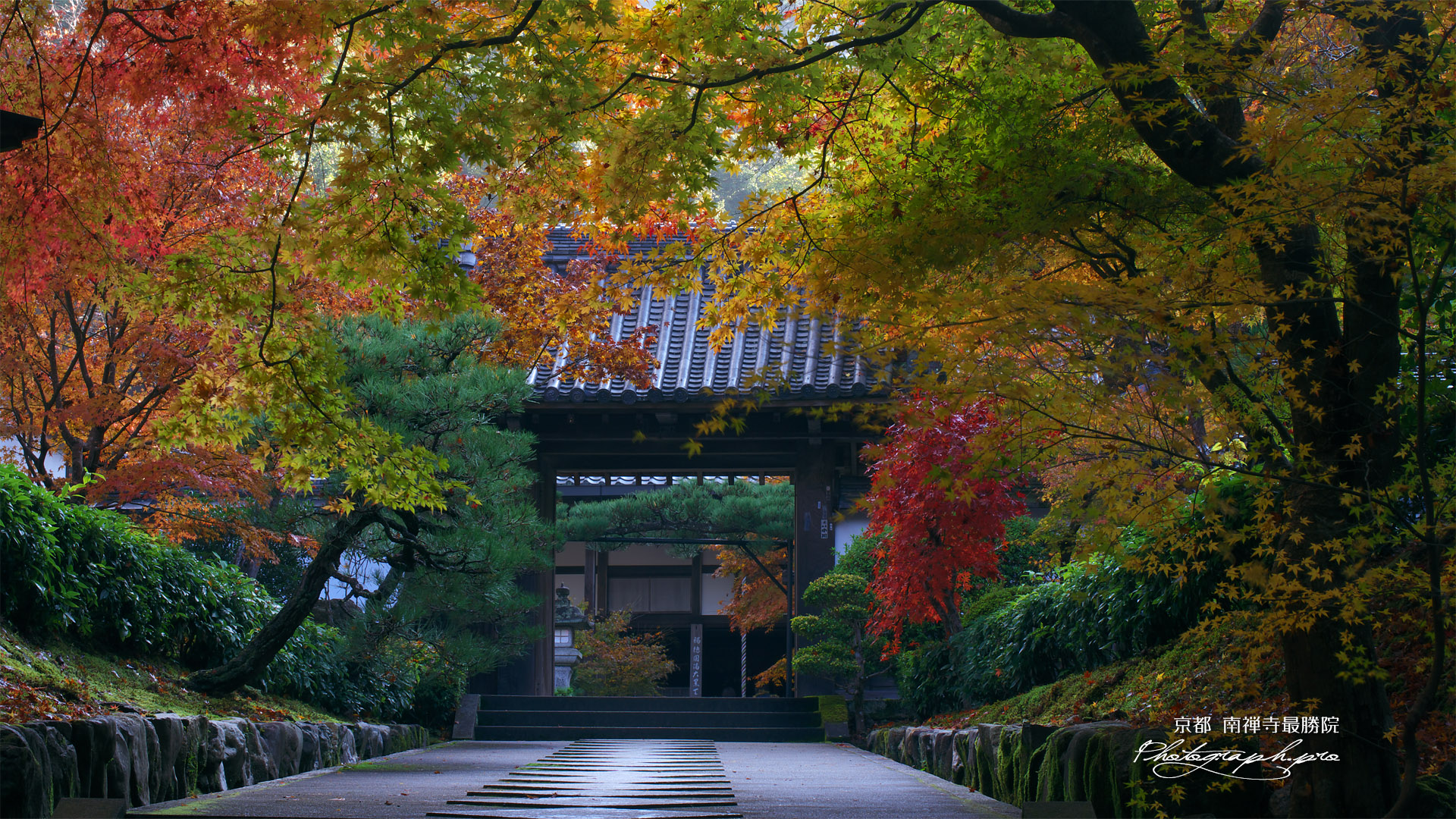 最勝院 参道の三色紅葉