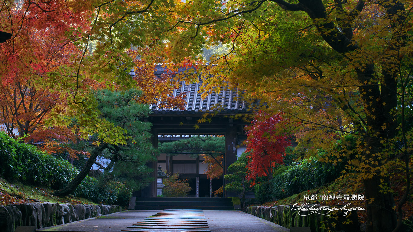 最勝院 参道の三色紅葉 壁紙