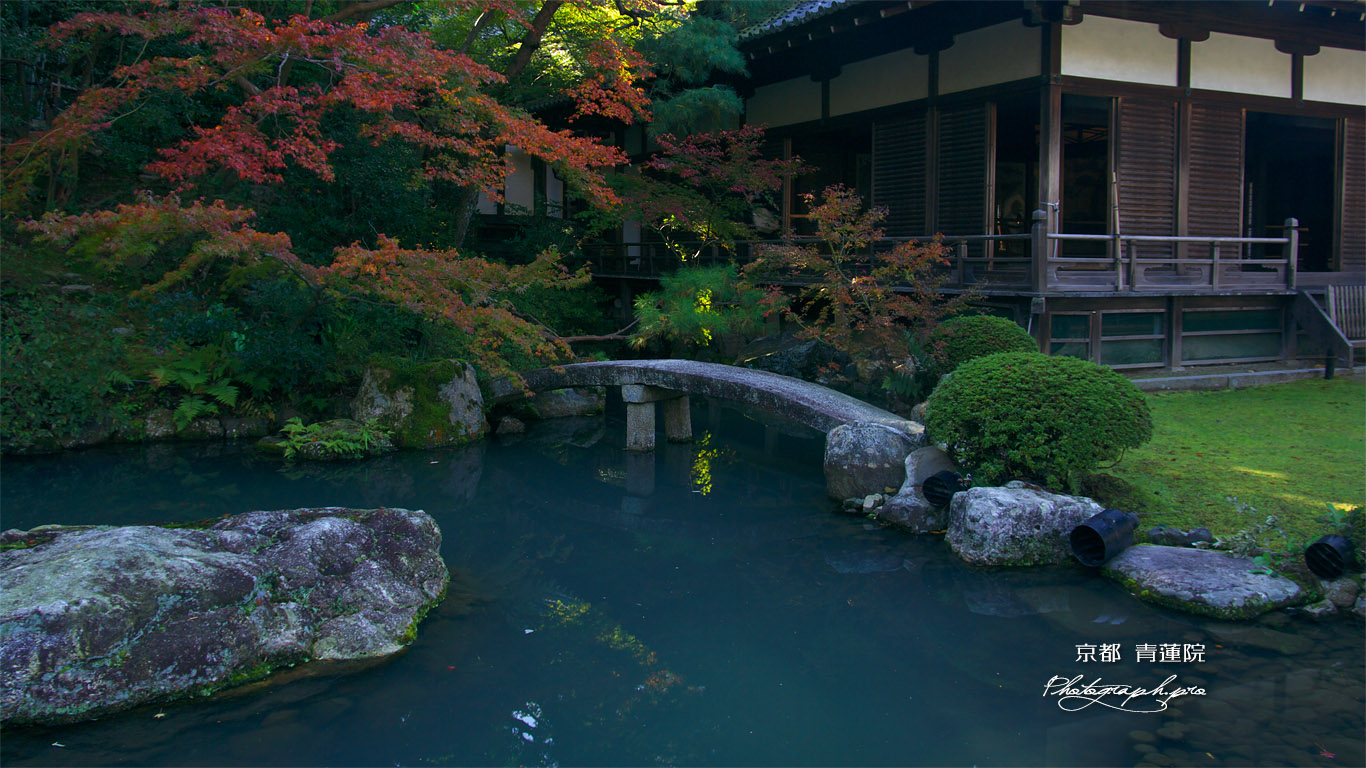 青蓮院 龍心池畔の紅葉と小御所 壁紙