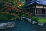 青蓮院 龍心池畔の紅葉と小御所