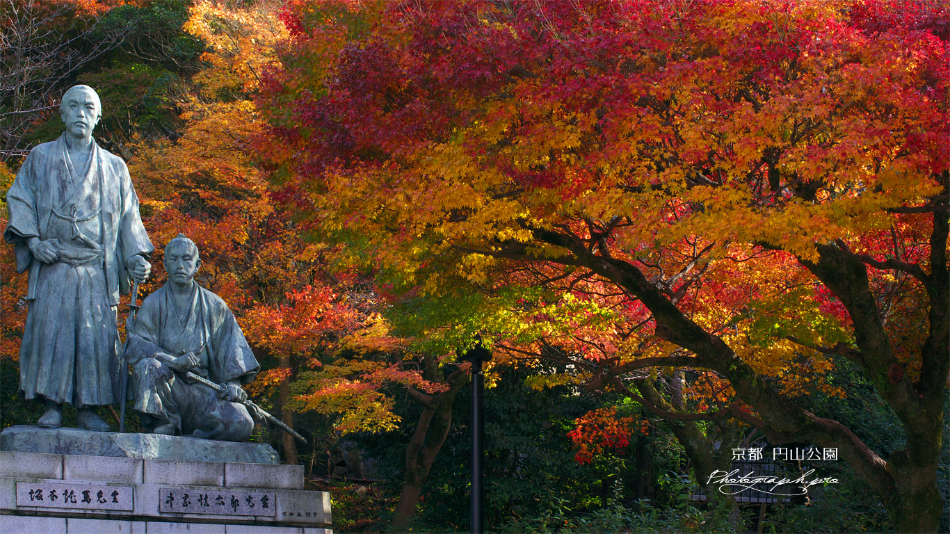 円山公園 中岡慎太郎と坂本龍馬の像 の壁紙 1366x768