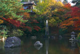 円山公園 瓢箪池の噴水と紅葉