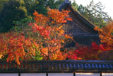 南禅寺天授庵 紅葉と方丈屋根