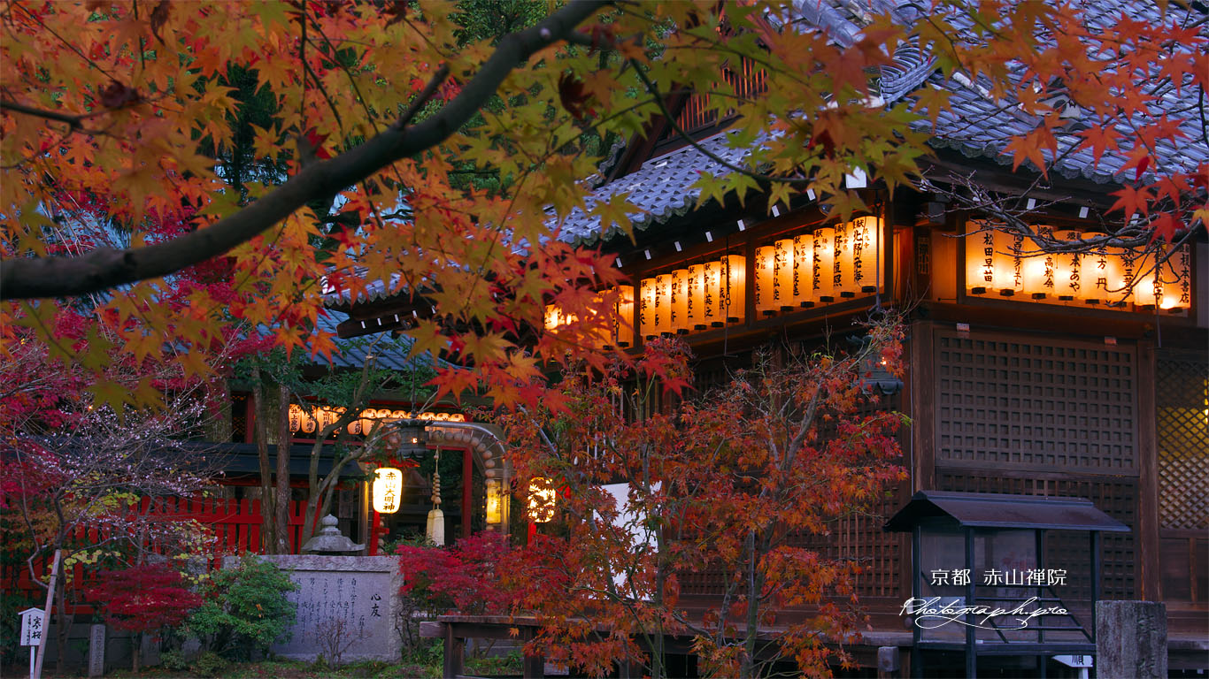 赤山禅院の紅葉の拝殿と神殿 壁紙