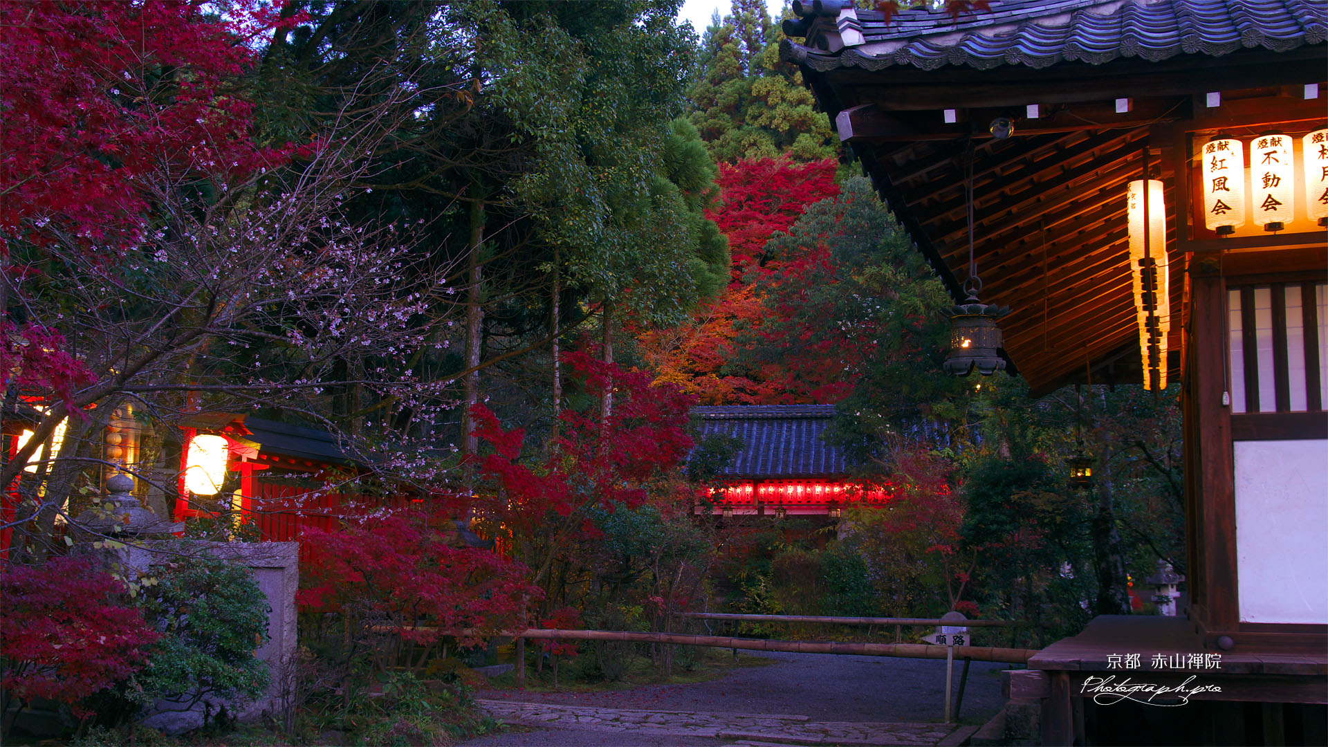 提灯灯る赤山禅院