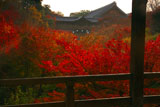 臥雲橋越しの東福寺洗玉澗の紅葉