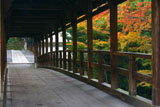 東福寺偃月橋の紅葉