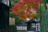東福寺龍吟庵 紅葉越しに偃月橋と方丈