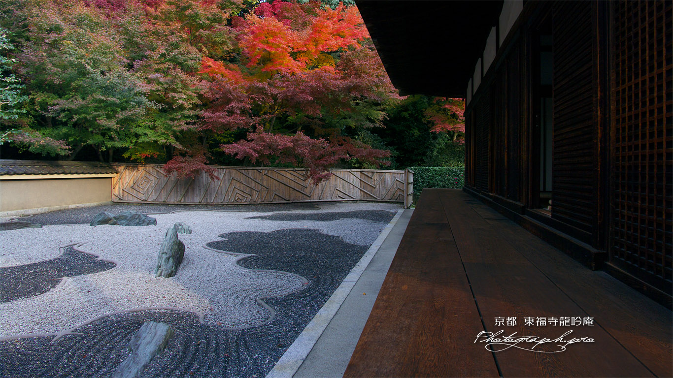 東福寺龍吟庵 方丈縁側と西庭の紅葉 壁紙